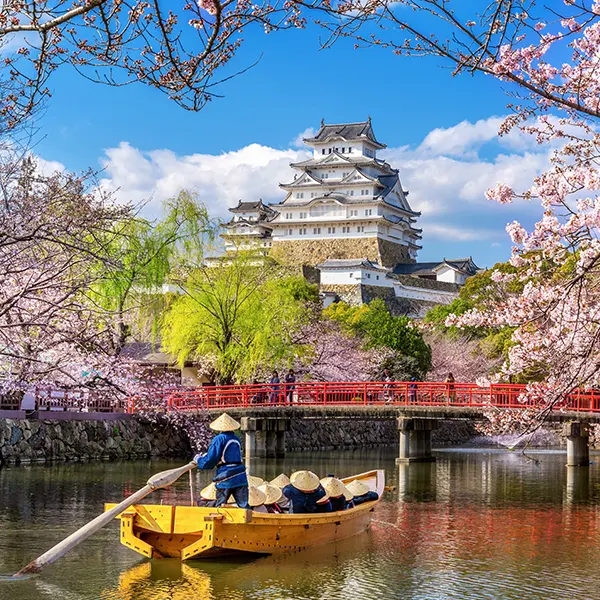 Le Japon, une belle destination de voyage